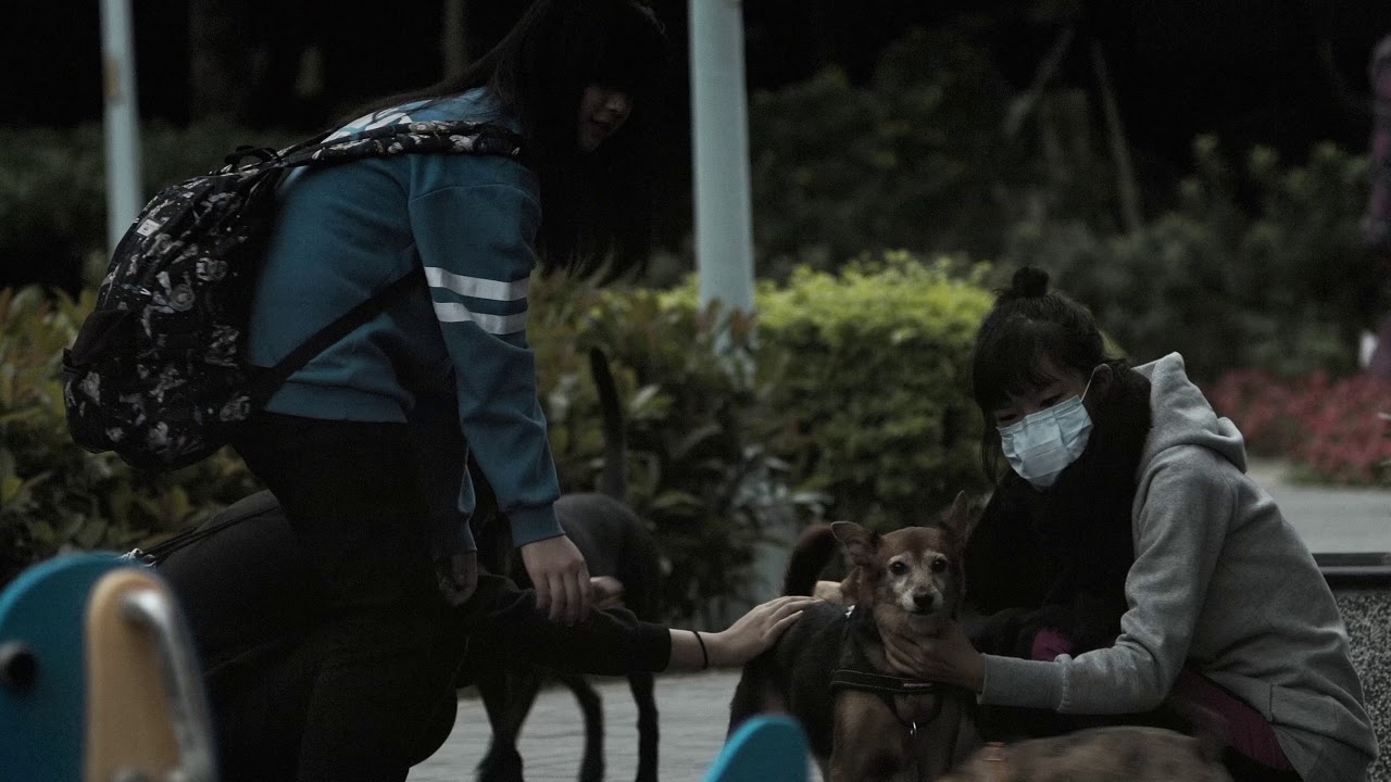 Color Grading Test - Bleach Bypass