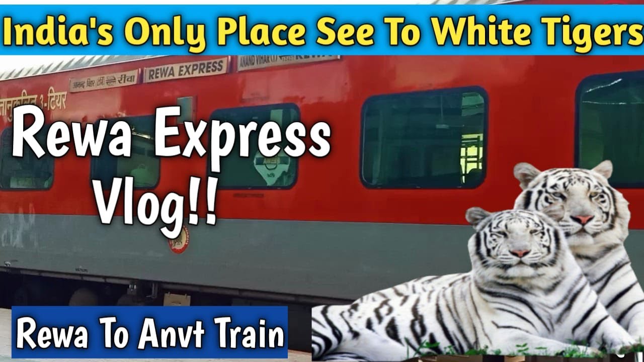 Rewa Anand Vihar Express Vlog! 
