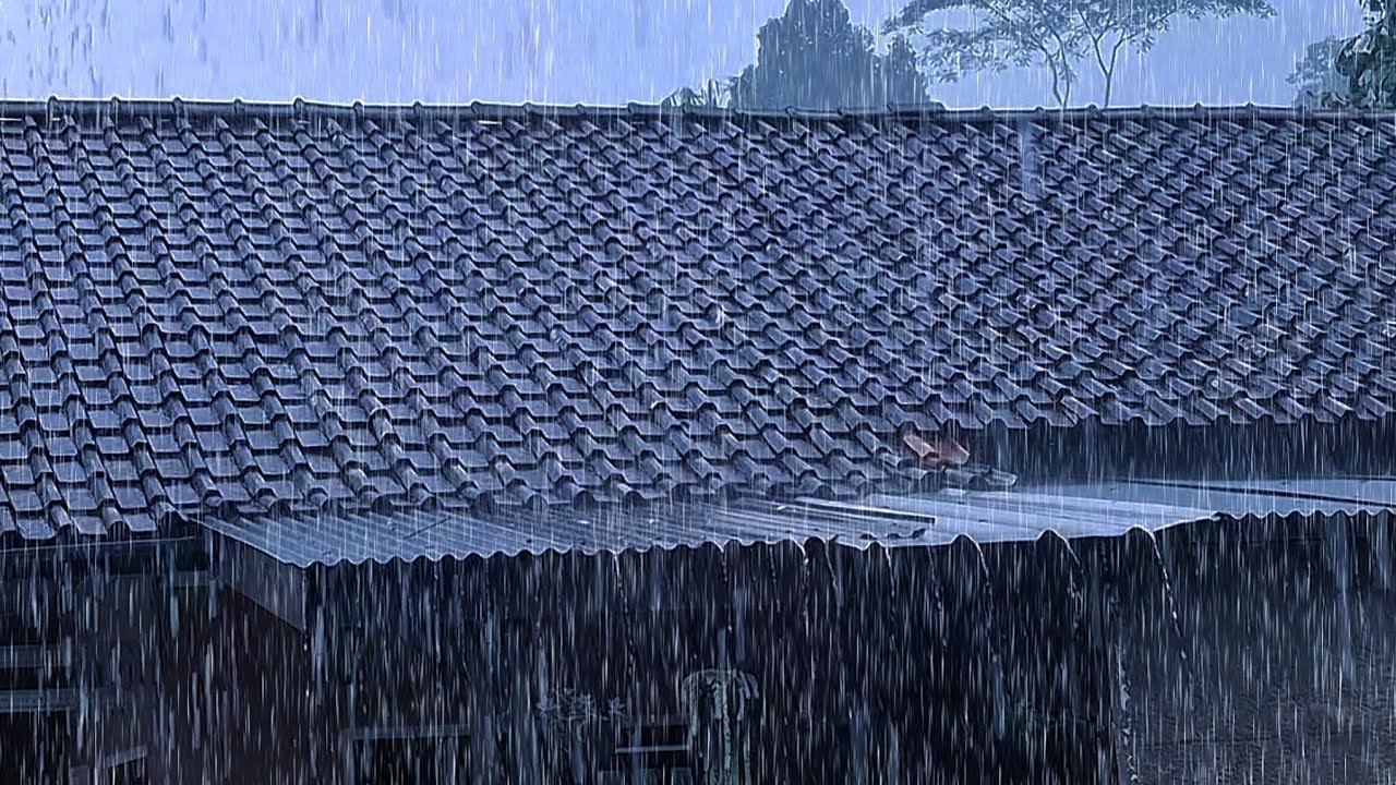 Rain and Thunderstorm Sounds 8 Hours 🌧️ Deep Sleep, Stress Relief