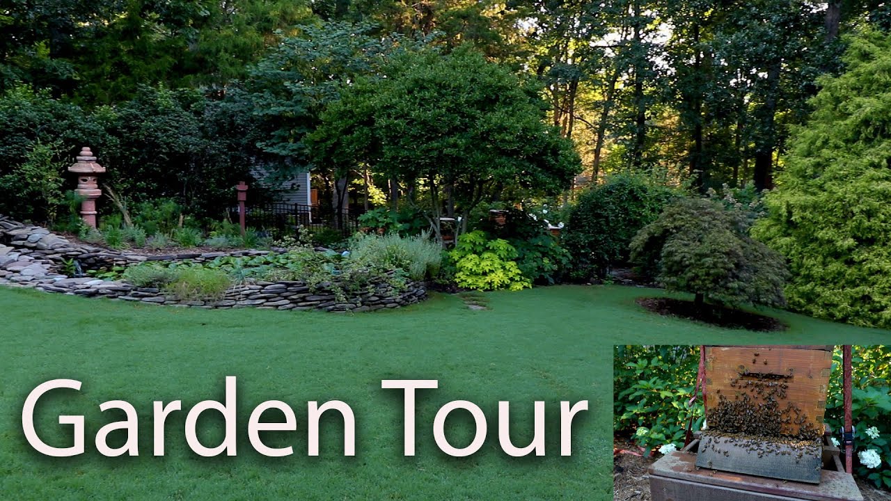 Beekeeper's Pollinator Garden - Summer Garden Tour