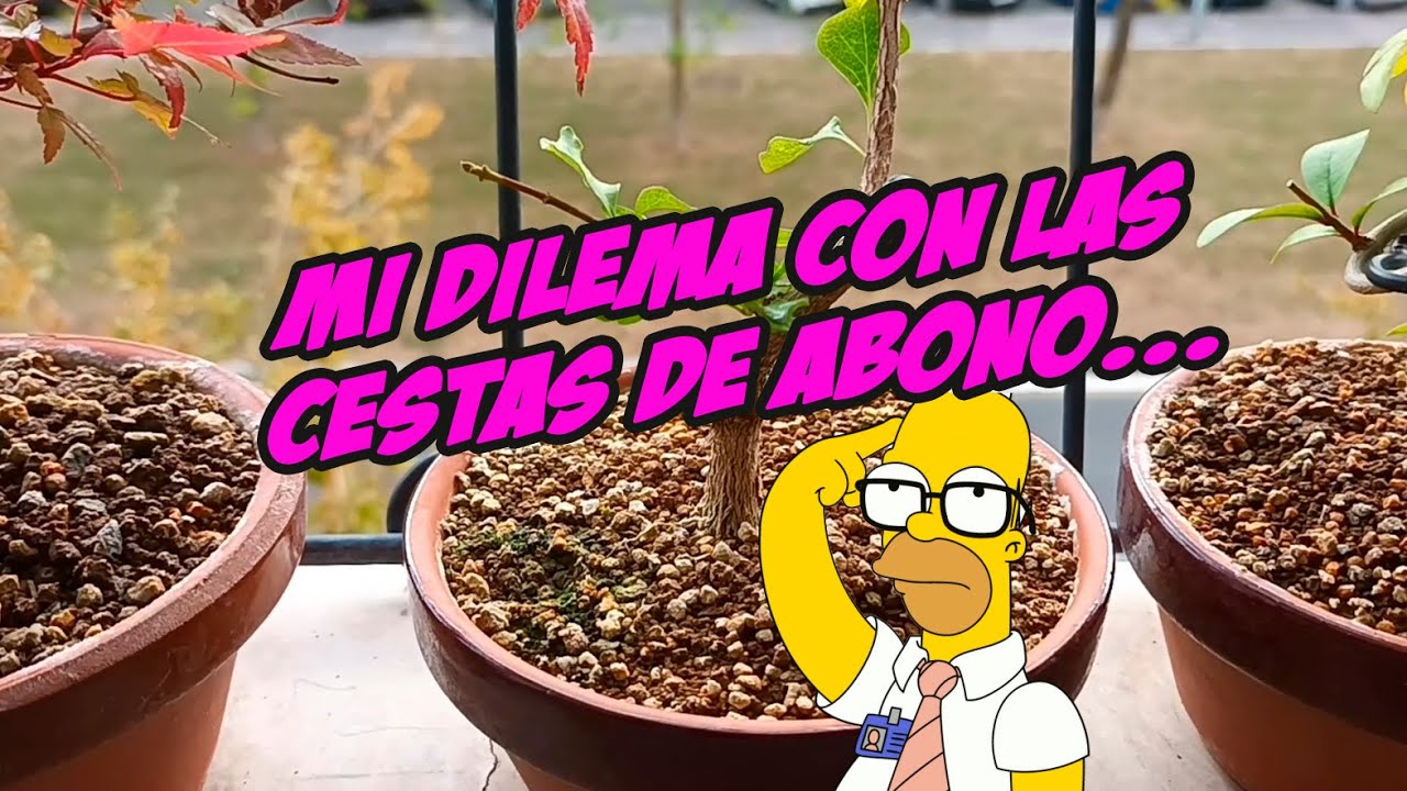 Pregunta sobre cestas de abono