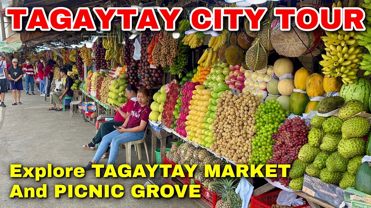 TAGAYTAY CITY TOUR — Explore Tagaytay Public Market & Picnic Grove! | Philippines BER Months 2024