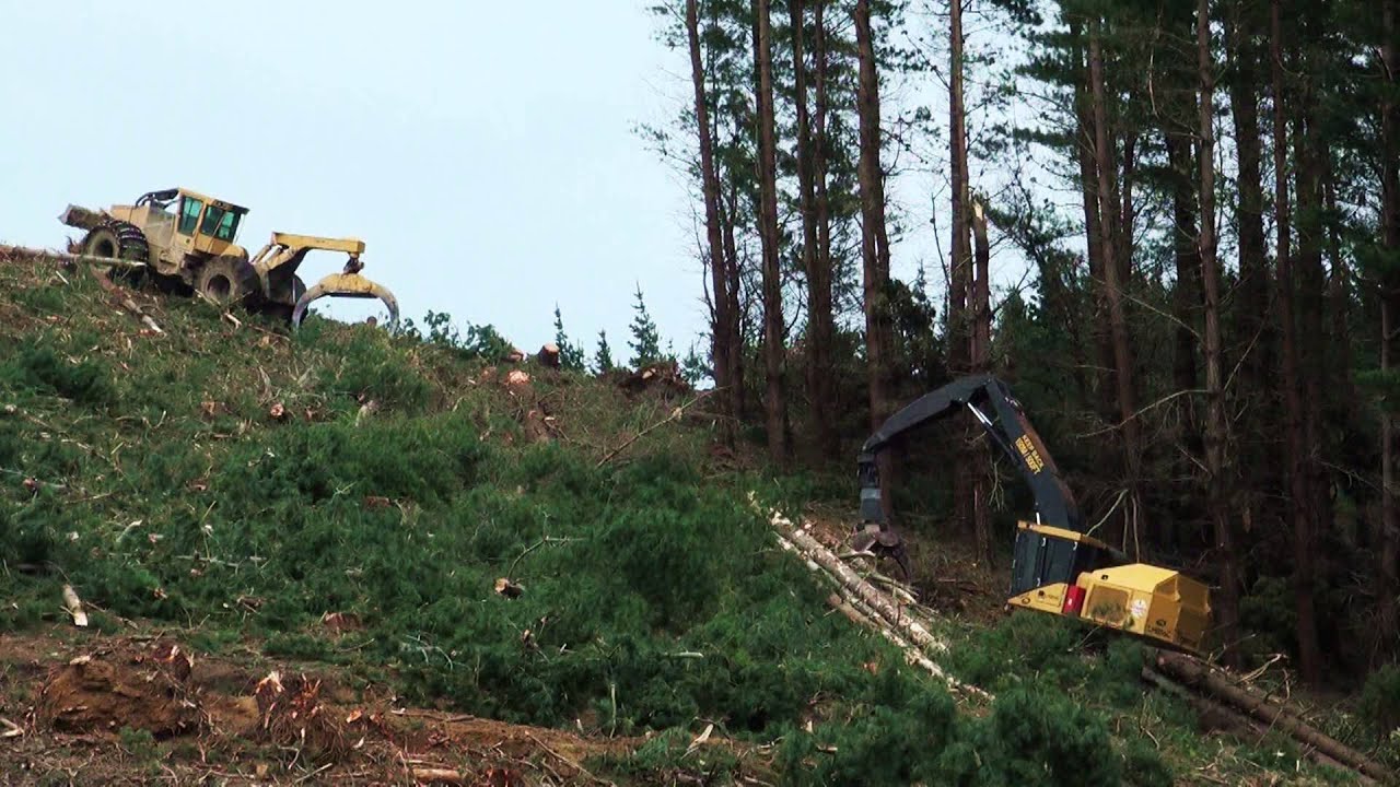 Renner Logging: steep slope operation