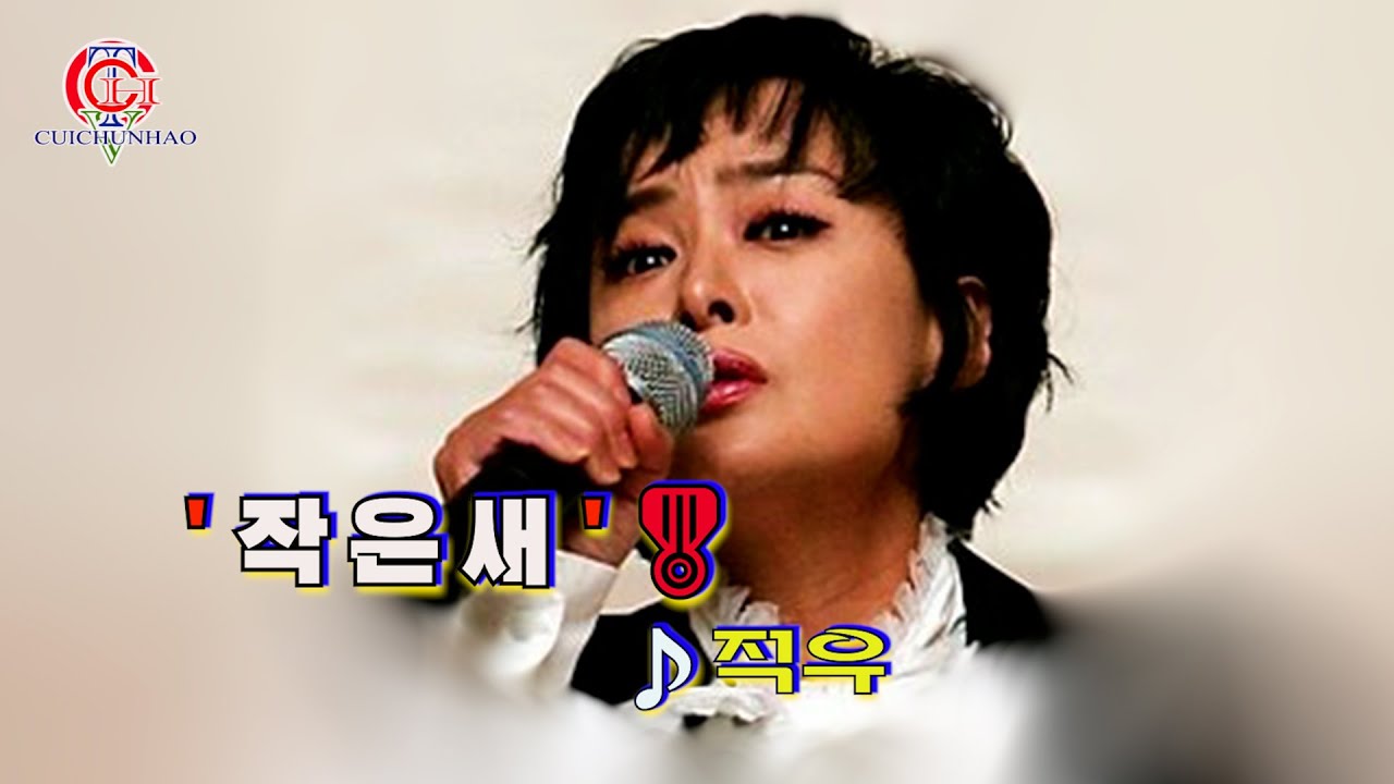 적우 '작은새'🎖️⭐️[영상배경-[흐러가는 가사제공]