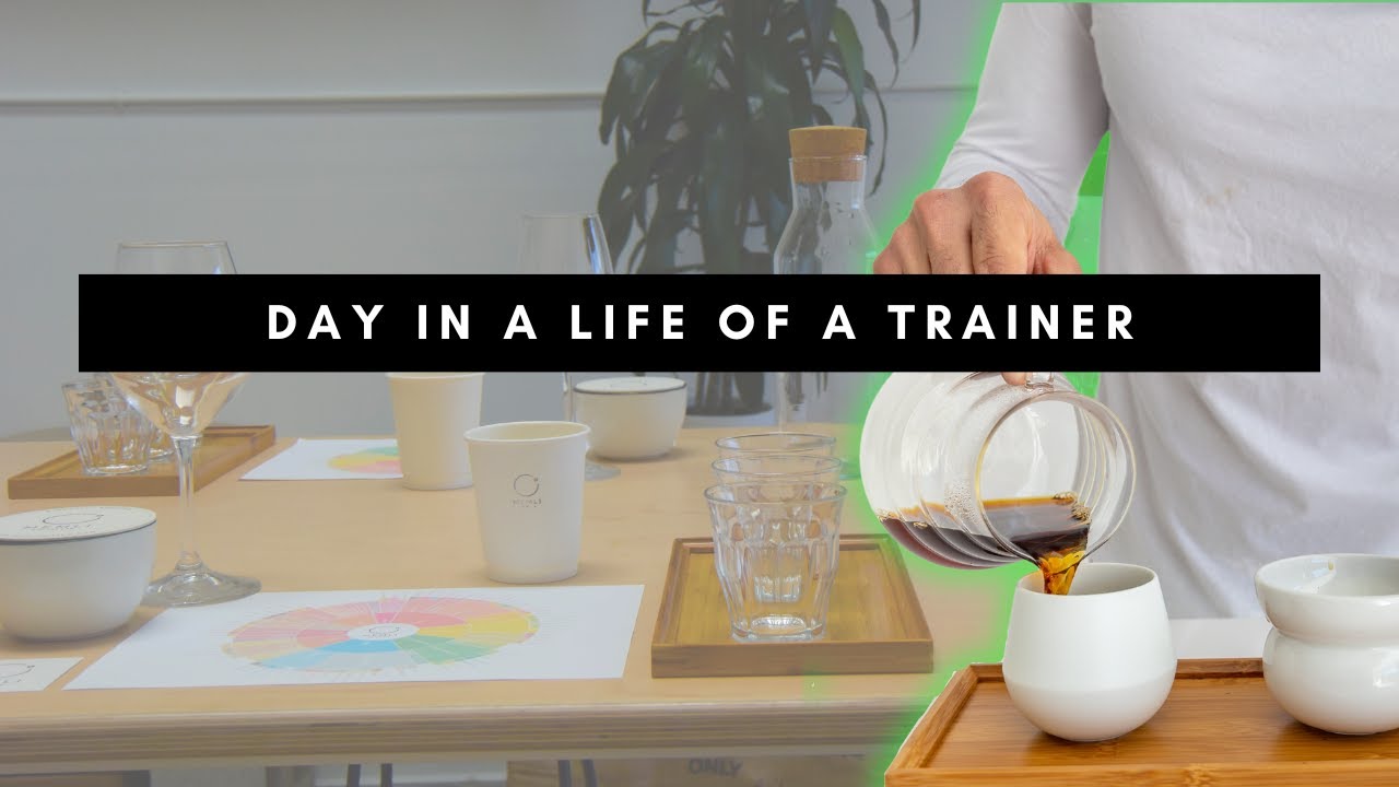 Day in a Life of A Trainer