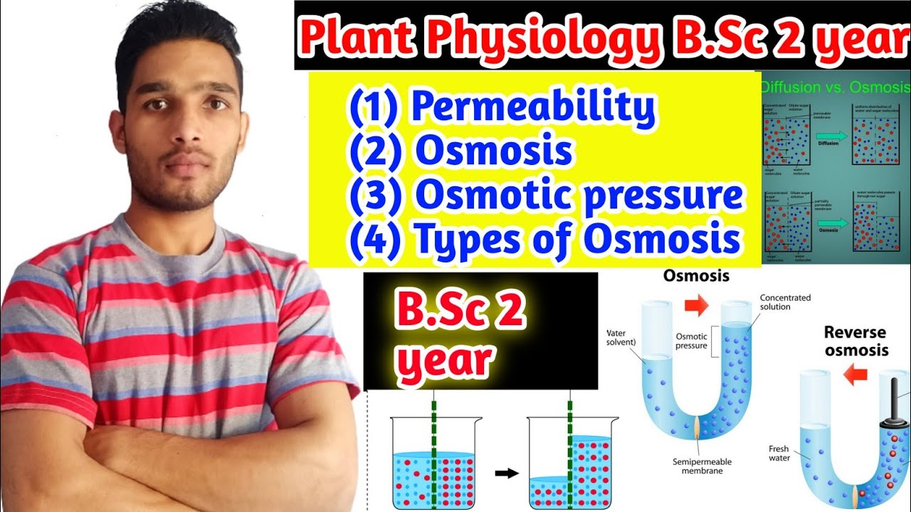 Osmosis||Osmotic pressure||Permeability of  Membrane||B.Sc 2 year Plant physiology
