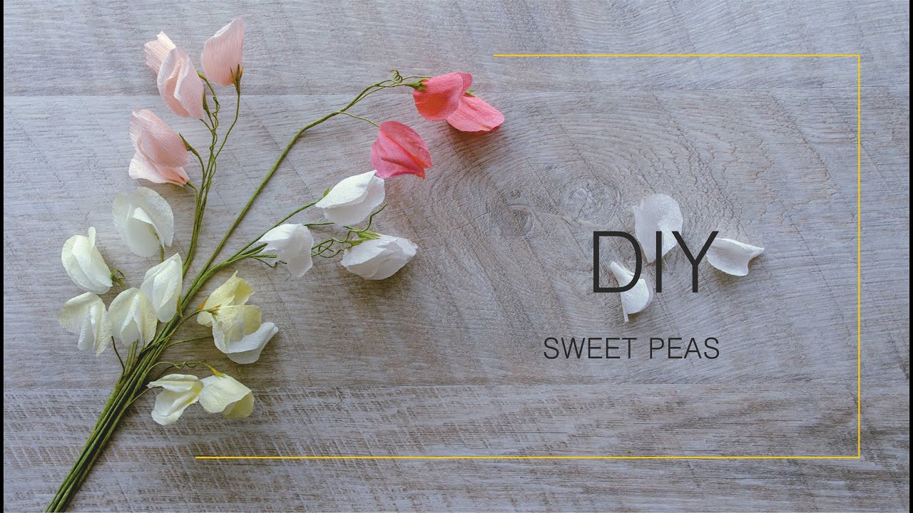How to make SWEET PEAS from crepe paper