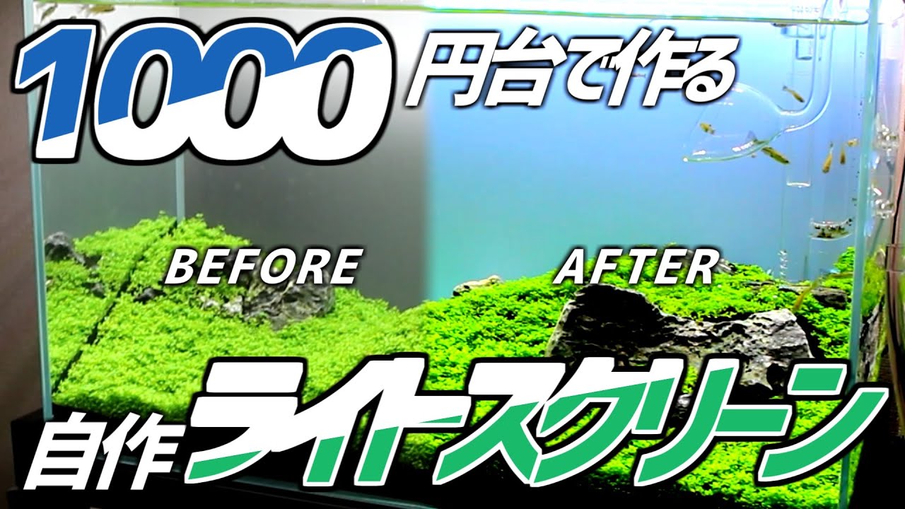 電動工具必要なし！超簡単1000円台で自作ライトスクリーン制作！#116【アクアリウム】
