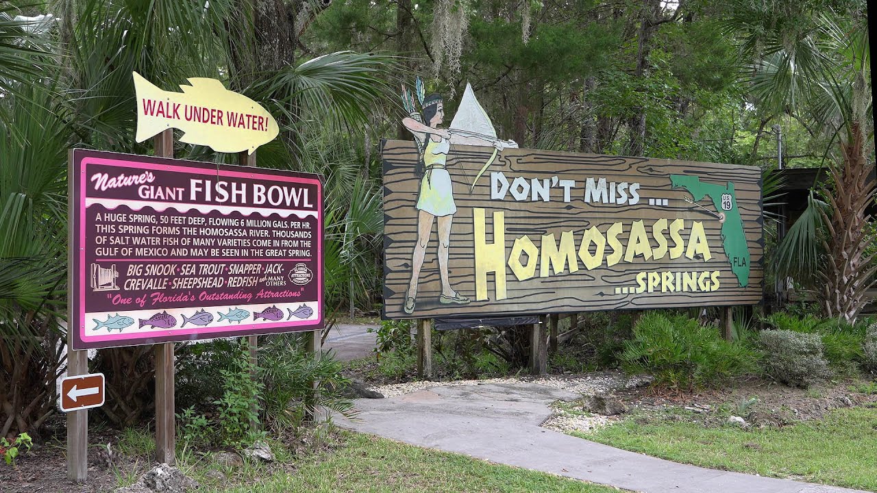 Homosassa Springs Wildlife State Park and a very cool lunch spot afterwards.