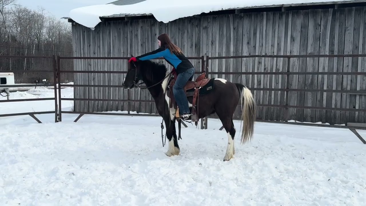 Django