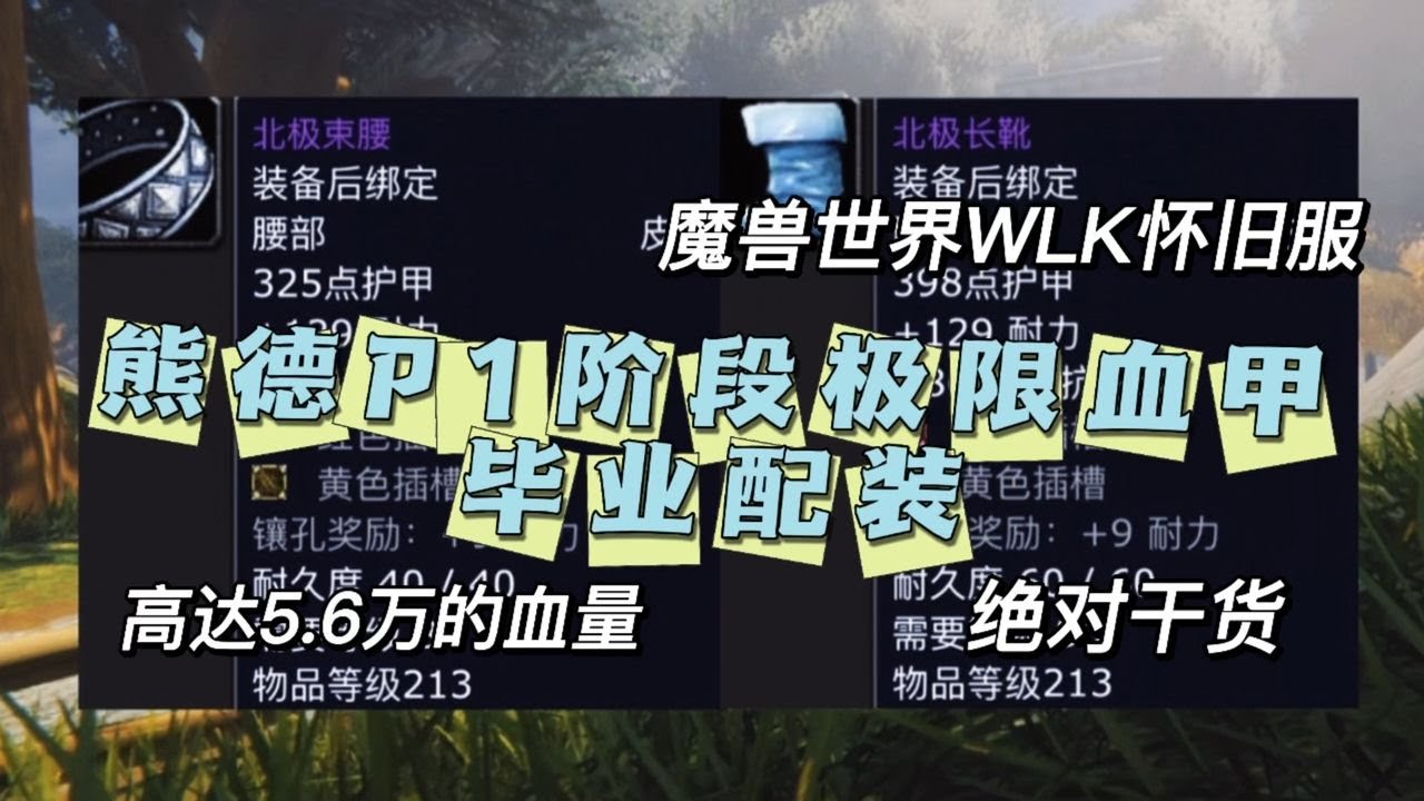 魔獸世界WLK懷舊服：熊德P1階段極限血甲畢業配裝，高達5.6萬血量