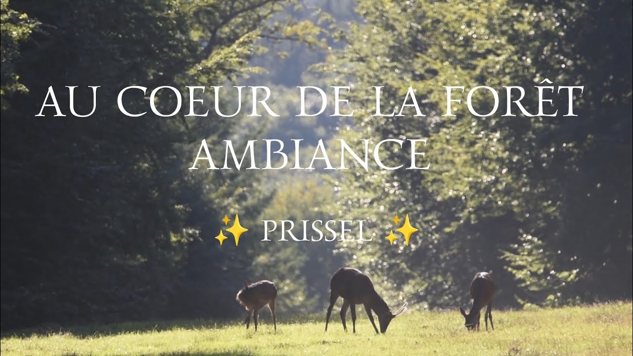 ✨🦌 Peaceful Deer in Forest Meadow Bird Sounds for Relaxation & Nature Lovers sounds wildlife ✨
