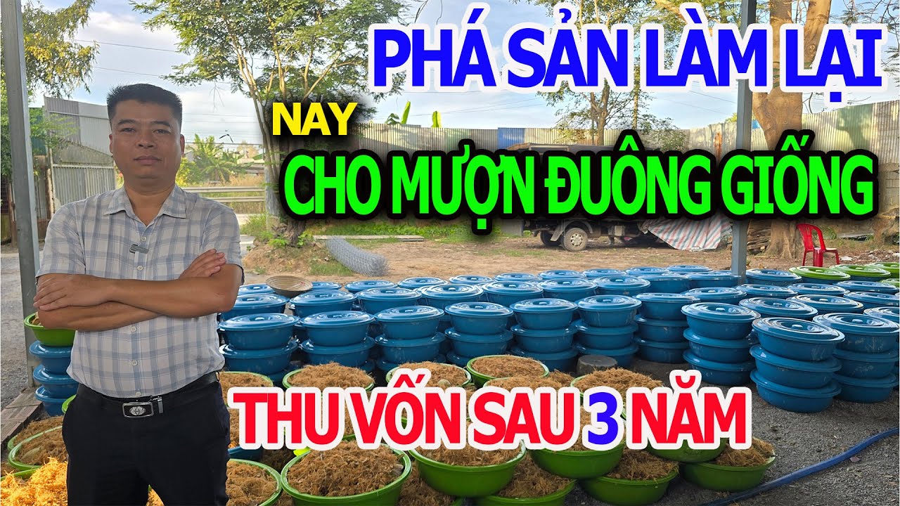 Phá Sản Trắng Tay, Chủ Doanh Nghiệp Làm Lại Từ Con Đuông - Cho Bà Con Mượn Giống, Thu Vốn Sau 3 Năm