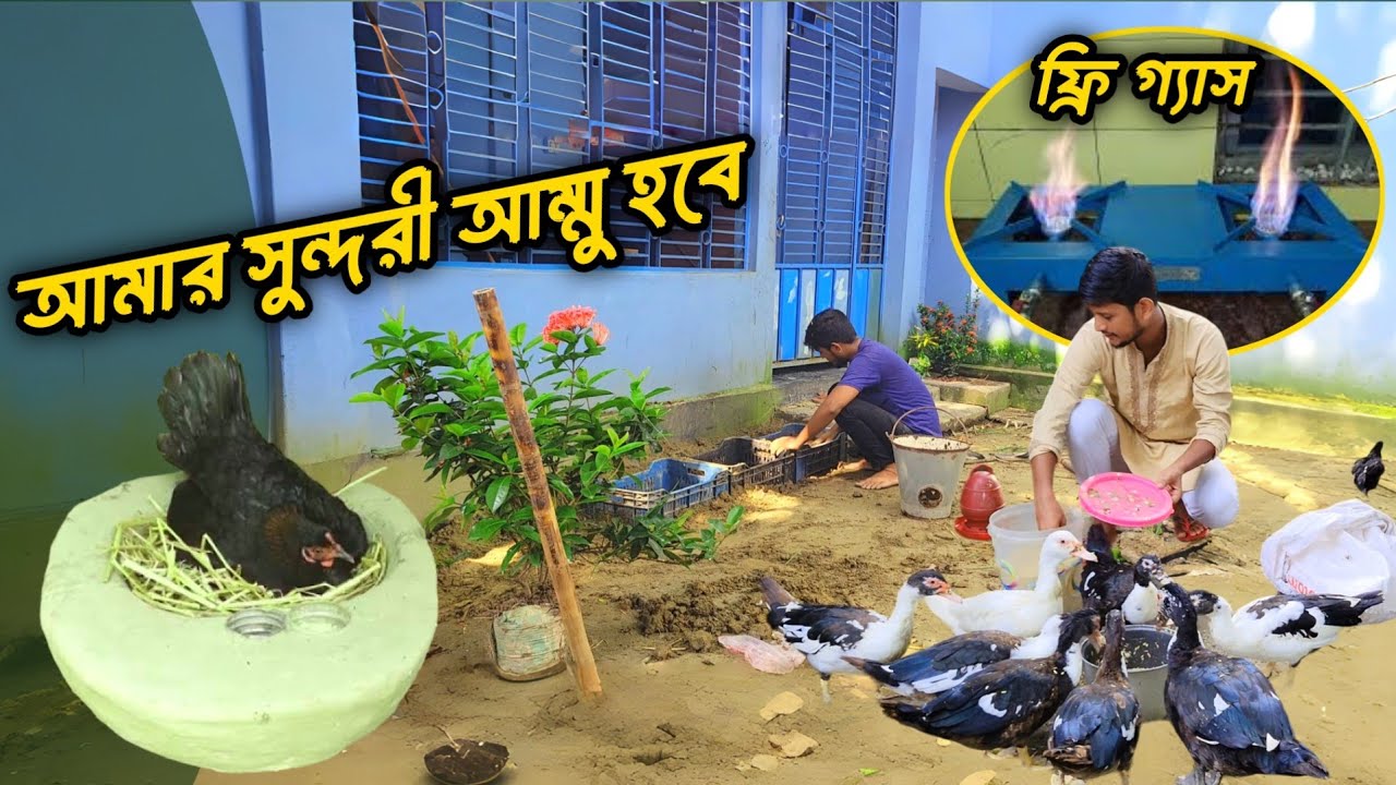 বৃষ্টির দিনে বড় সুখবর আমার সুন্দরী মা হতে যাচ্ছে | Sojib Brother