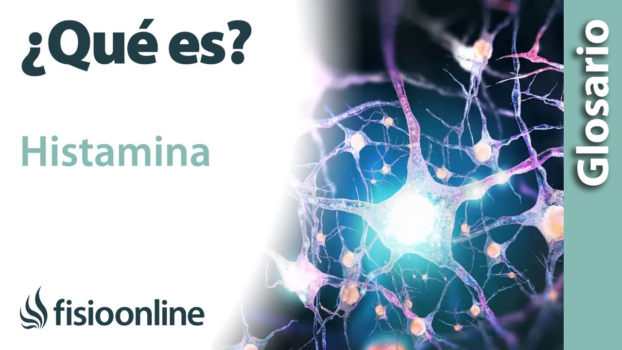 HISTAMINA | Qué es, cuál es su función, dónde se encuentran e importancia para el cuerpo