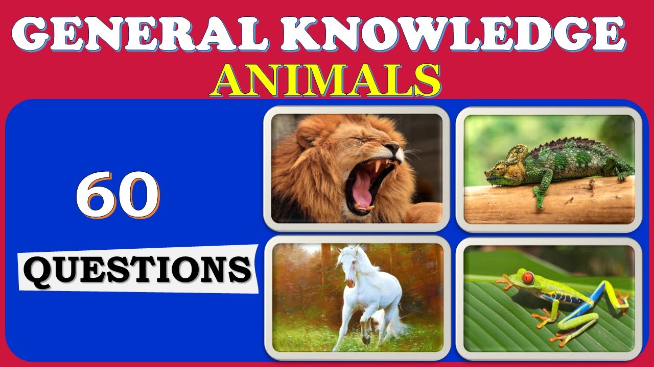 🐈🐾Animal Quiz  I 60 MCQs on Animals I Test Your GK Knowledge I Kids & Adults Quiz 😹🐴