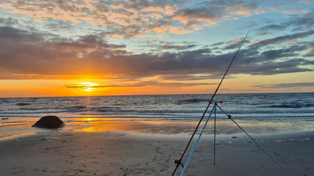 Крупная рыба на пляже / морская рыбалка в Великобритании 🎣 / рыбалка с пляжа на острове Англси