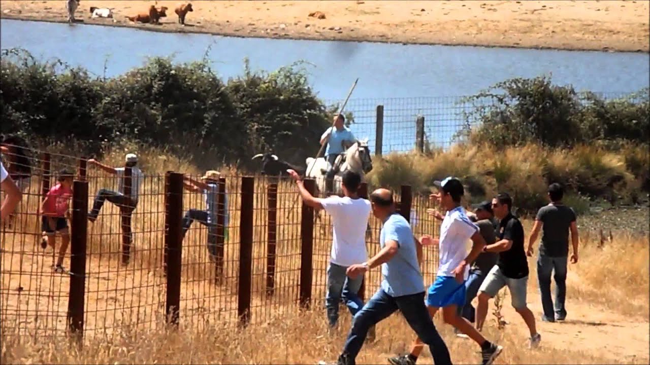 Encierro a caballo El Sahugo 2013