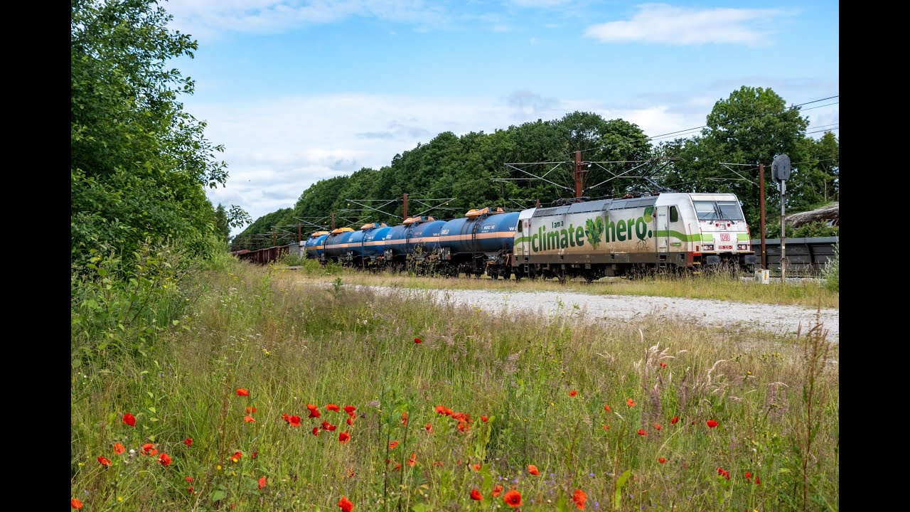 Godstog(DB Cargo, Hector Rail) på Østfyn - 13-06-2024