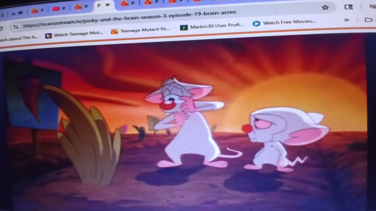 Pinky and the Brain - 💧 Always You 🎹 
