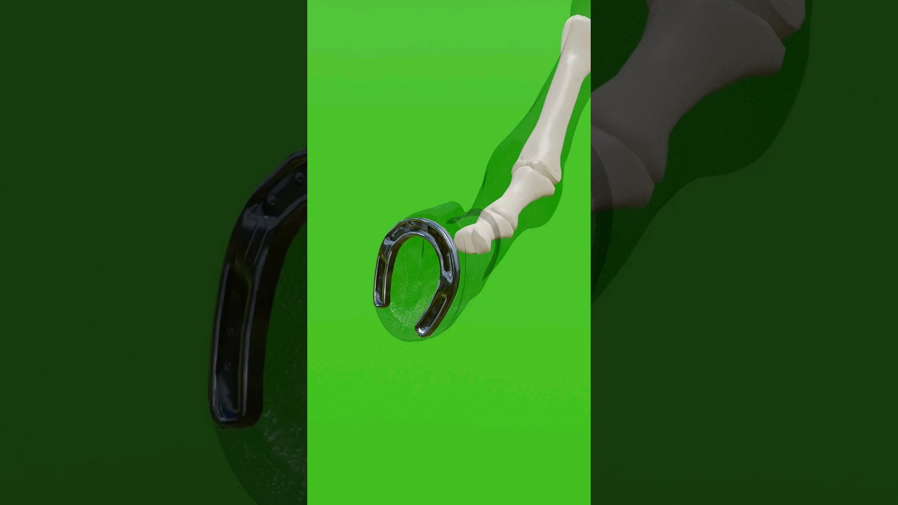 Why Getting Horseshoe Don't Hurt Horse?