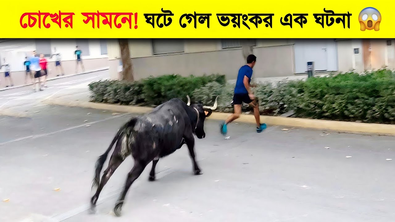 চোখের সামনেই ধরা পড়লো ভয়ংকর সেই মুহূর্ত! 😱 | Caught On Camera | Mayajaal | Noman's Show