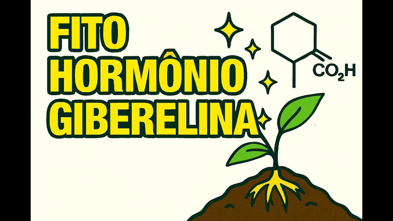 Fito Hormônios – Giberelina