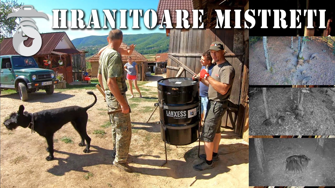 Cum am facut o hranitoare automata si cum au reactionat mistretii (The Wild Boar Feeder)