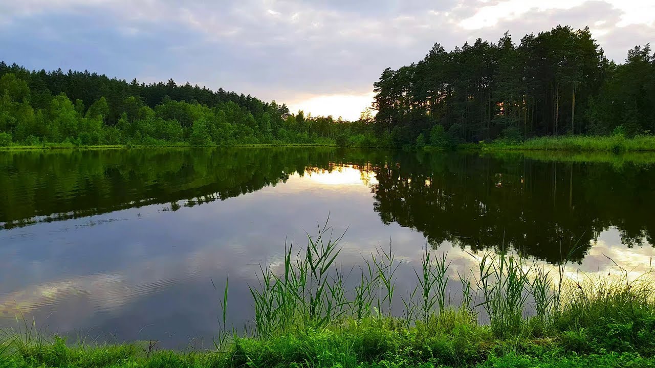 Lietuvos gamta 4k (yurtos)