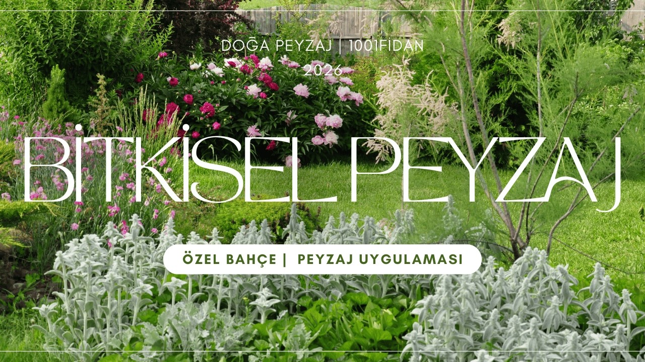 Kadıköy’de Özel Konut Bahçesi | Öncesi–Sonrası Peyzaj Dönüşümü