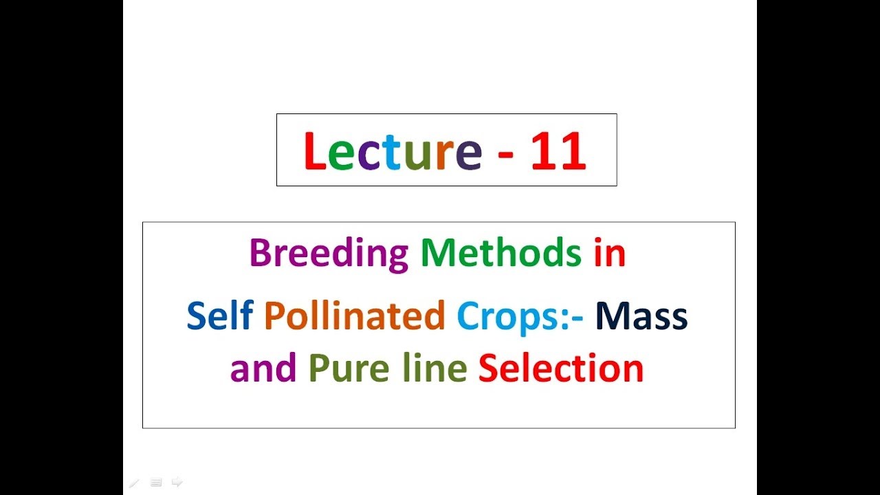 Lecture 11 Plant Breeding