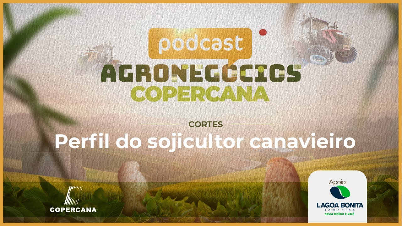 Perfil do sojicultor canavieiro