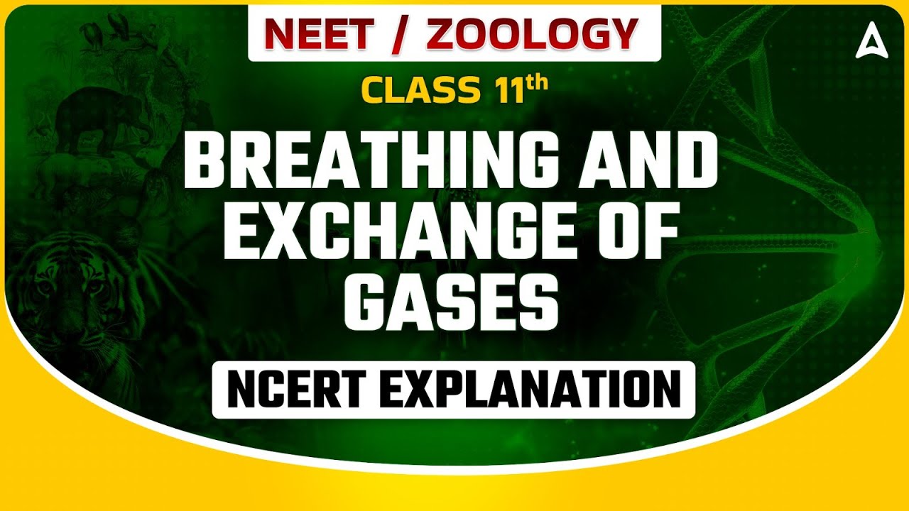 BREATHING AND EXCHANGE OF GASES CLASS 11 | NEET 2024 BIOLOGY | NCERT EXPLANATION ZOOLOGY BY SANKALP