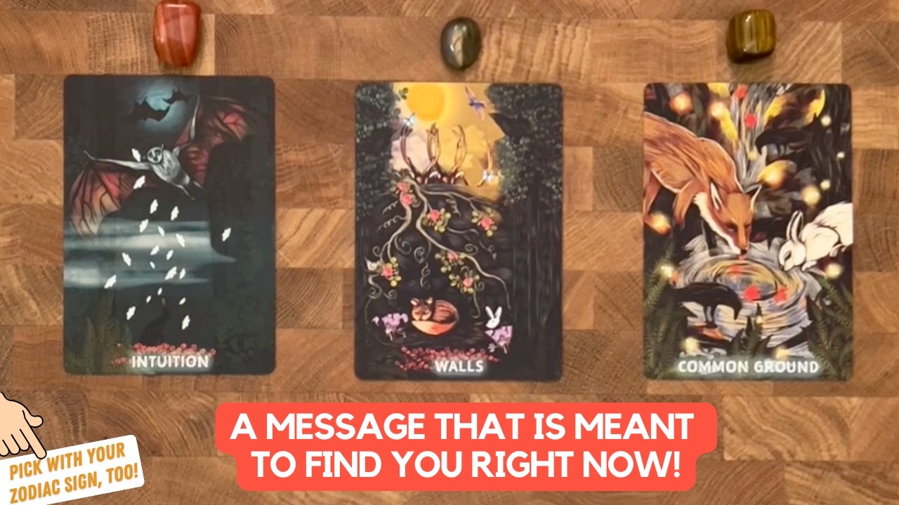 A Message That Is Meant To Find You Right Now! | Timeless Reading