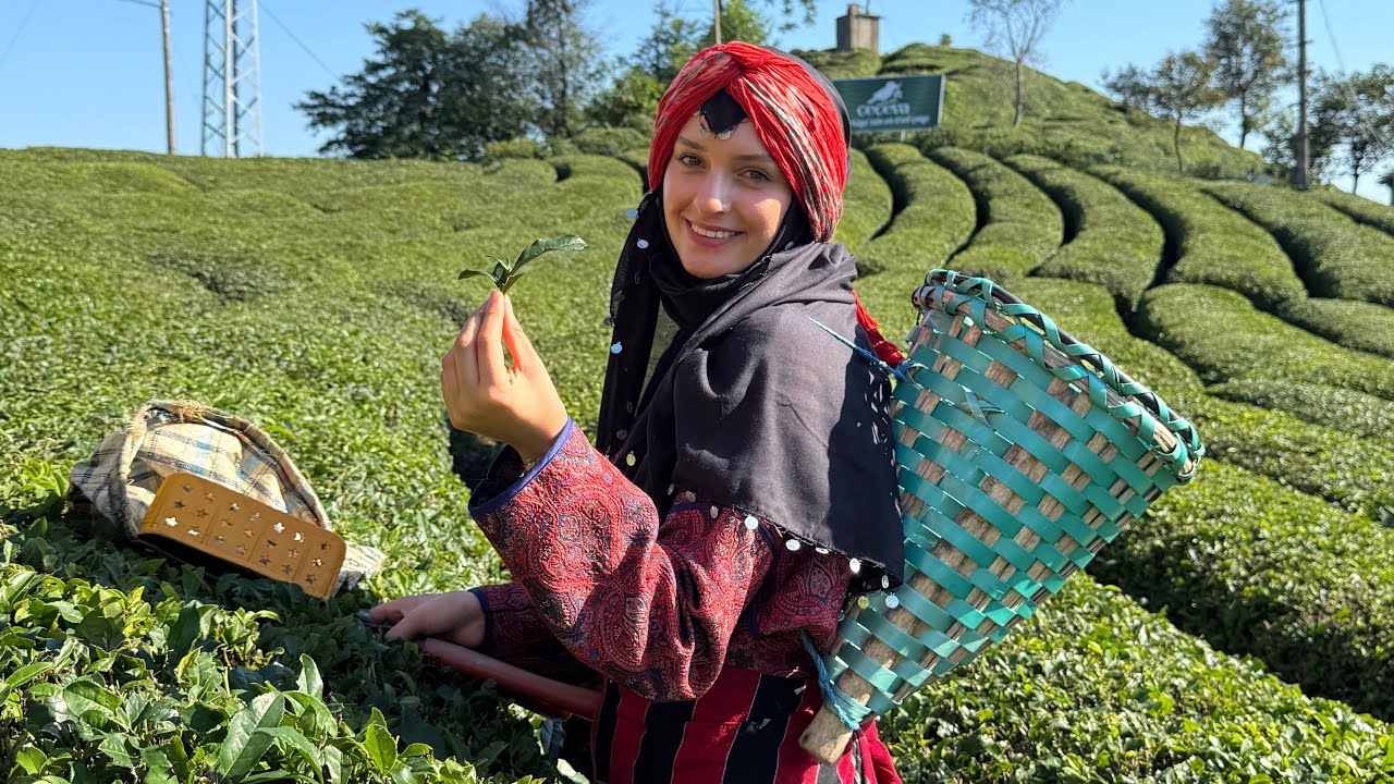 HAYALİNİ KURDUĞUMM İŞTE O KARADENİZ TURU ☘️