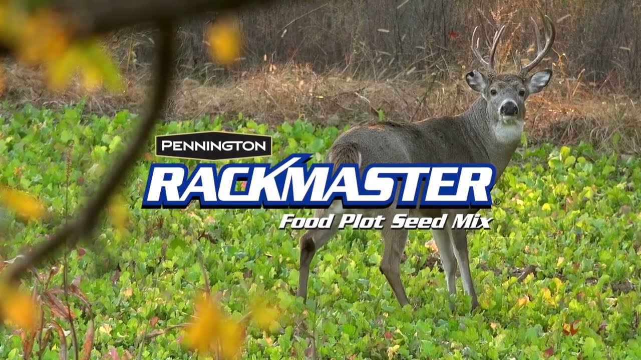 Pennington RACKMASTER Food Plot Seed Mix - Fuel your Wildlife!