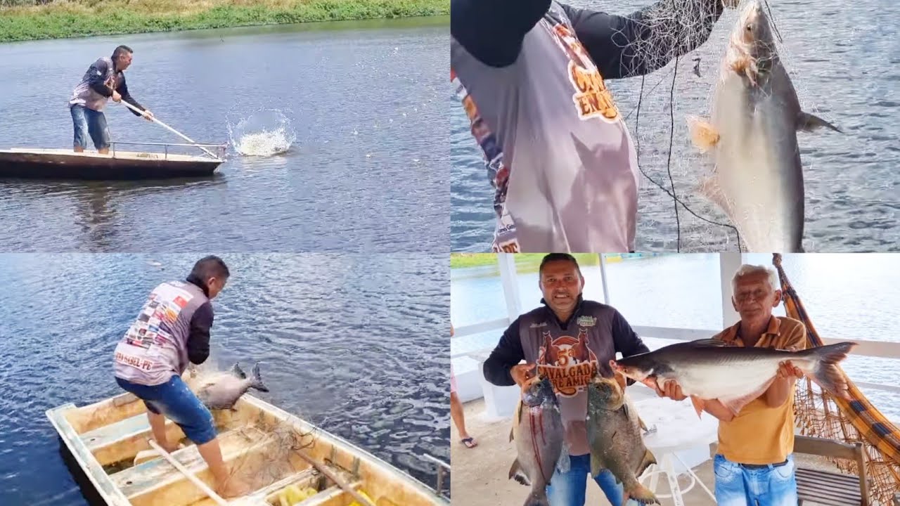 NÃO DEU TEMPO DE COLOCAR A REDE NA ÁGUA E OS PEIXES GIGANTES MALHARAM SÓ ACREDITEI PORQUE FILMEI