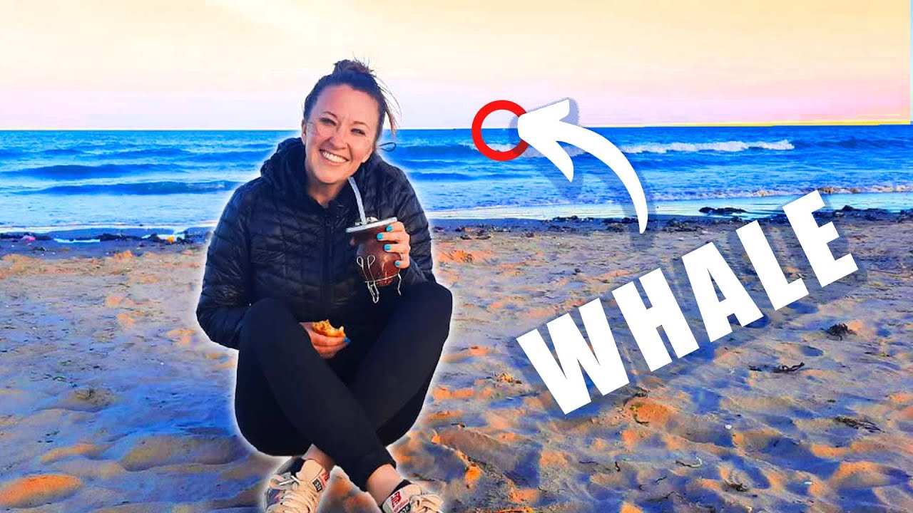Puerto Madryn: The Ultimate Adventure Destination