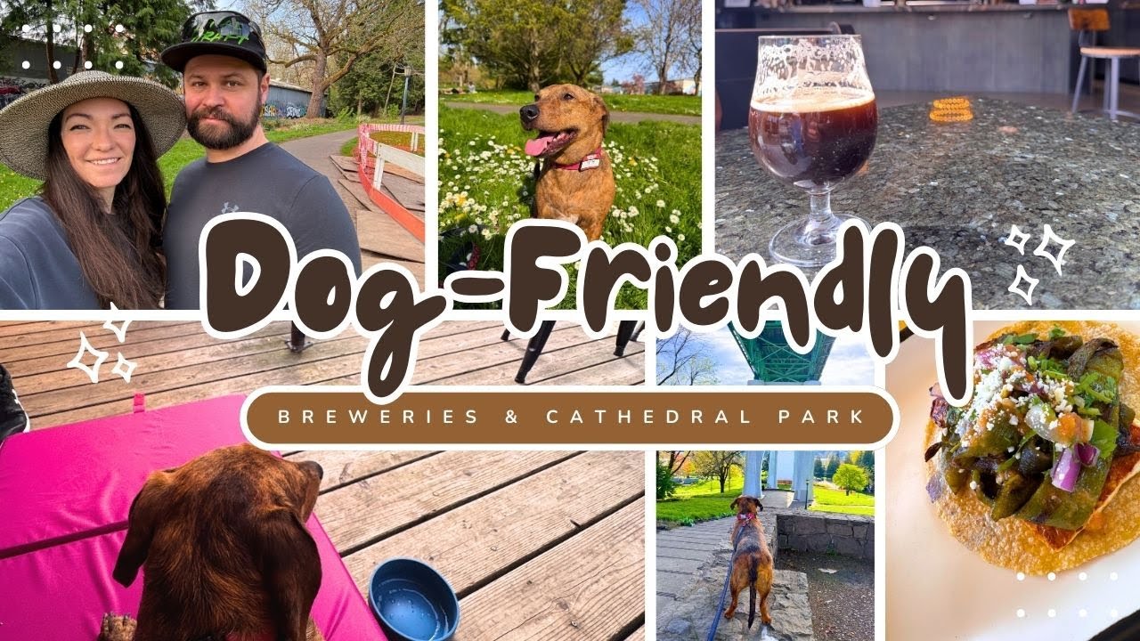 Portland Vlog: Dog Friendly Brewery Patios & Cathedral Park