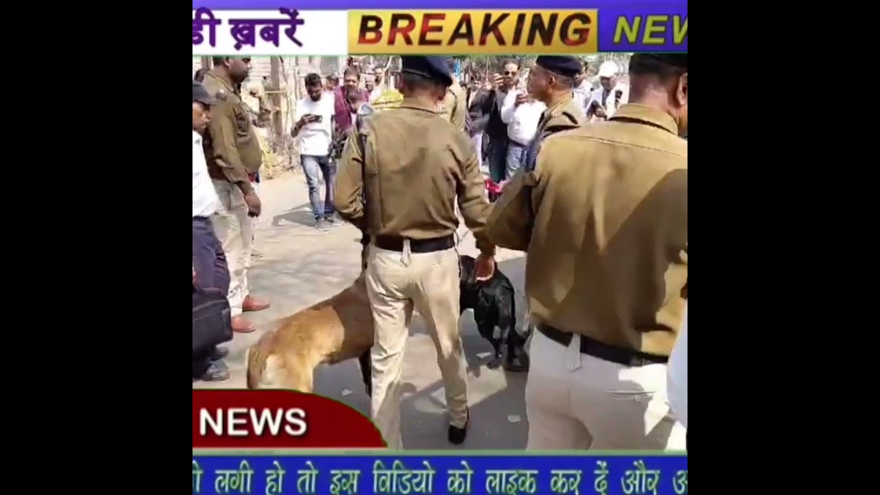 बड़ी साज़िश नाकाम! धनबाद सिविल कोर्ट को बम से उड़ाने की धमकी से मचा हड़कंप, 28 कोर्ट बिल्डिंग खाली