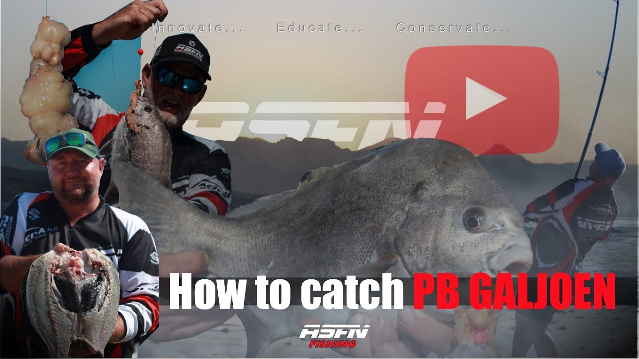 How to catch a PB GALJOEN!!! | ASFN rock & Surf
