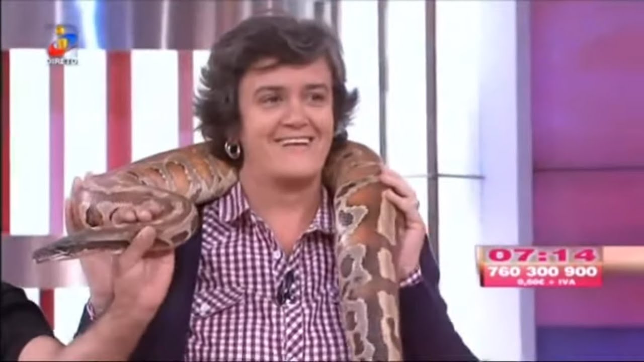 FOBIA A COBRAS - Dra. Rosa Basto - A Tarde é Sua