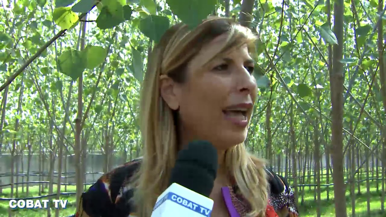 BONIFICA ECOSOSTENIBILE NELLA TERRA DEI FUOCHI