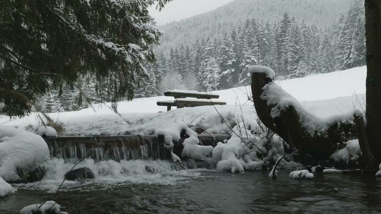 10 Hours Snowy Forest Stream for Relaxation & Focus | Peaceful Winter Nature 4K