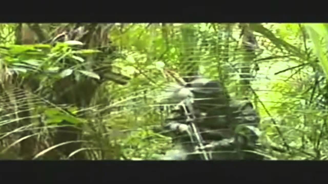 Brazilian Army CIGS Amazon Jungle Warfare Spec Ops