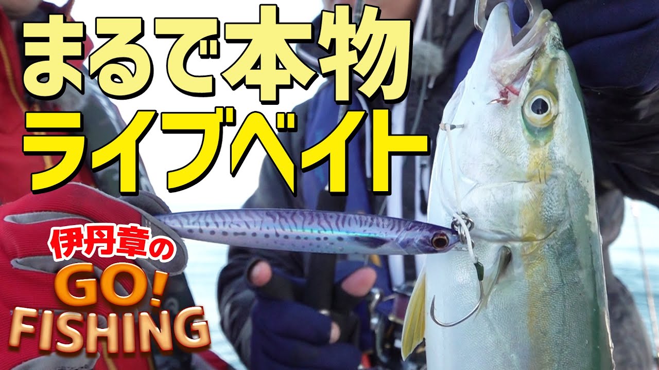 明石で青物爆釣ジギング！まるで本物!? ジグパラ・ライブベイト｜伊丹章のGO!FISHING