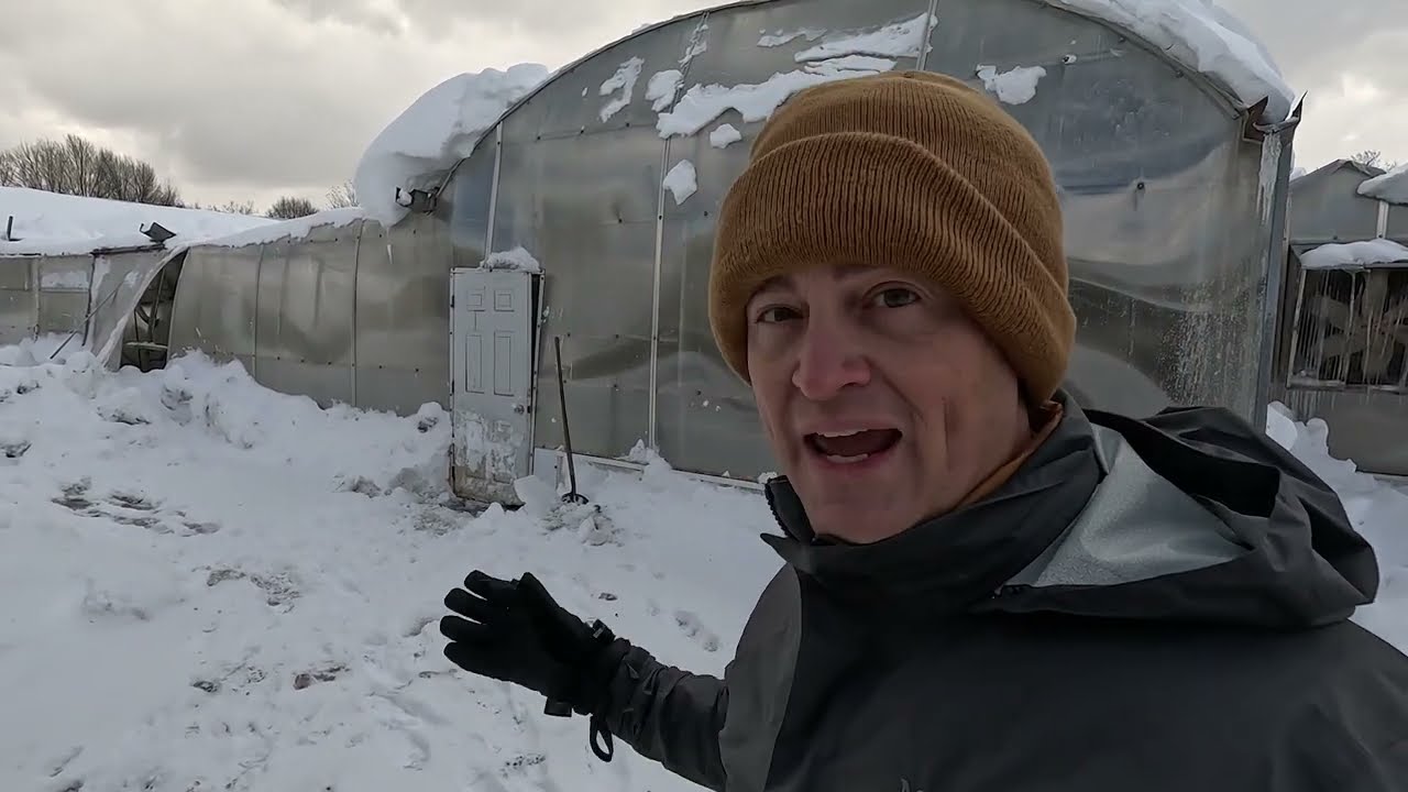 Buffalo's 6ft Snow Blast