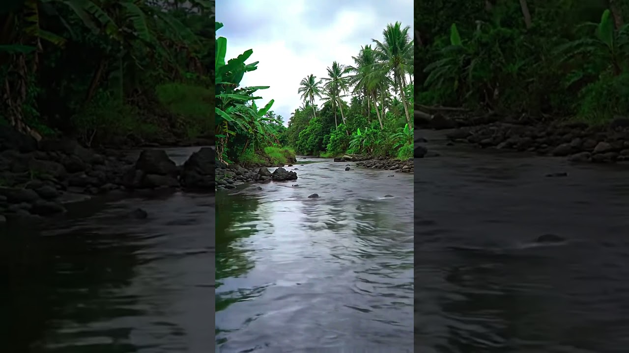 Tropical Escape: Soothing River & Jungle Sounds