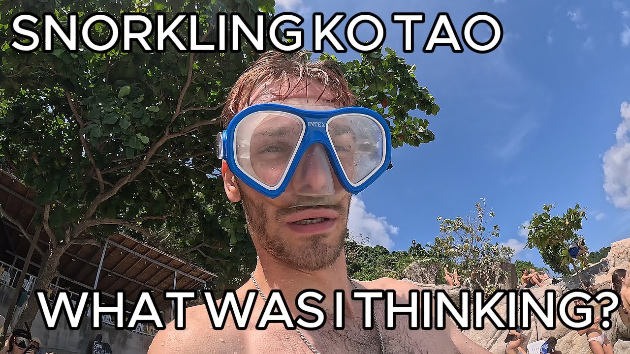 SNORKLING KO TAO