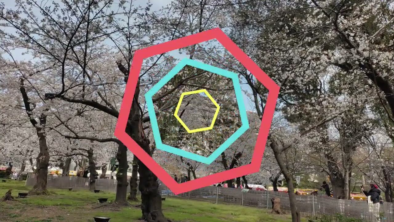 日本賞櫻行之鶴舞公園與名古屋城－20250330